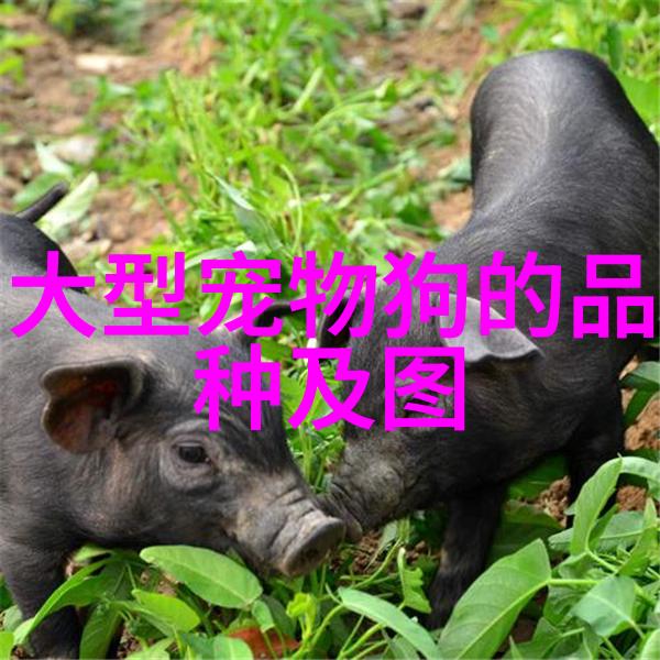1元的小狗