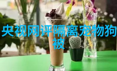 能翻译汪语言的狗狗智能穿戴设备 TailTalk