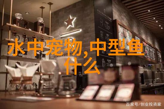 罗汉鱼身上长白点是怎么回事罗汉鱼长白点怎么办