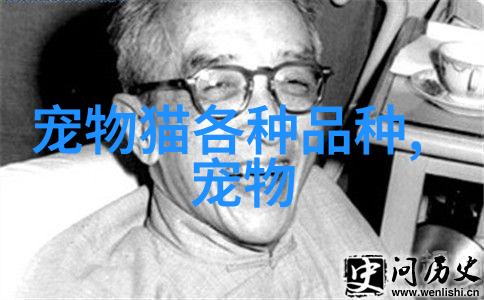 西伯利亚猫好养吗 不给它们频繁洗澡