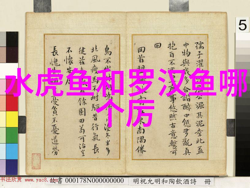 龙鱼能混养吗如何解决混养打斗问题龙鱼混养注意事项