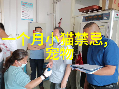 苏格兰折耳猫该如何选购从尾巴看起