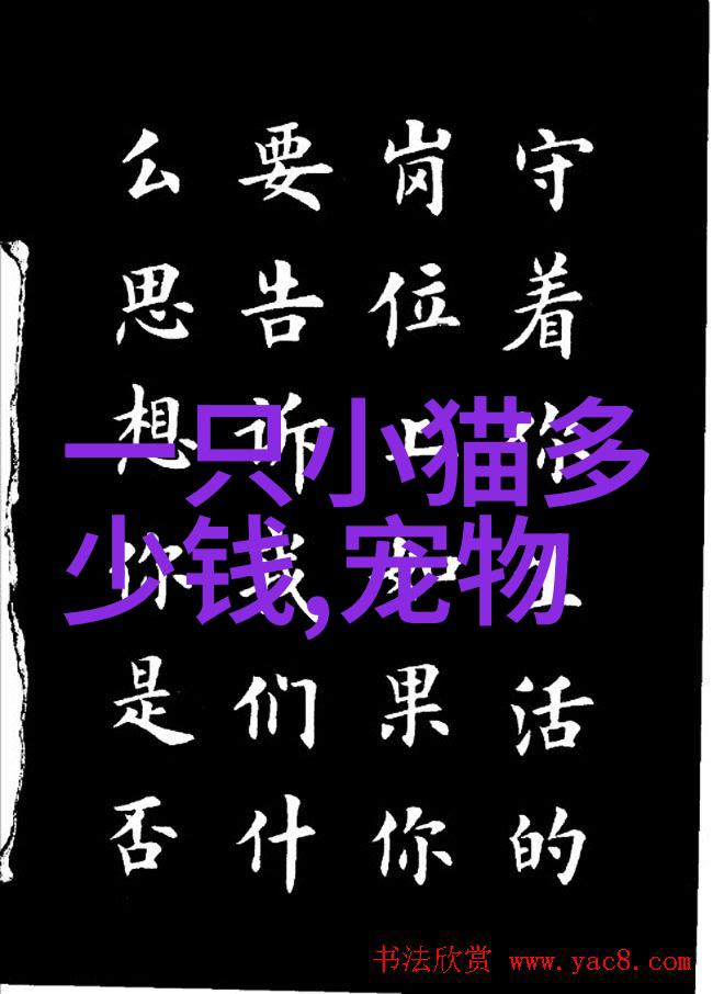 给猫咪洗澡需要知道的误区