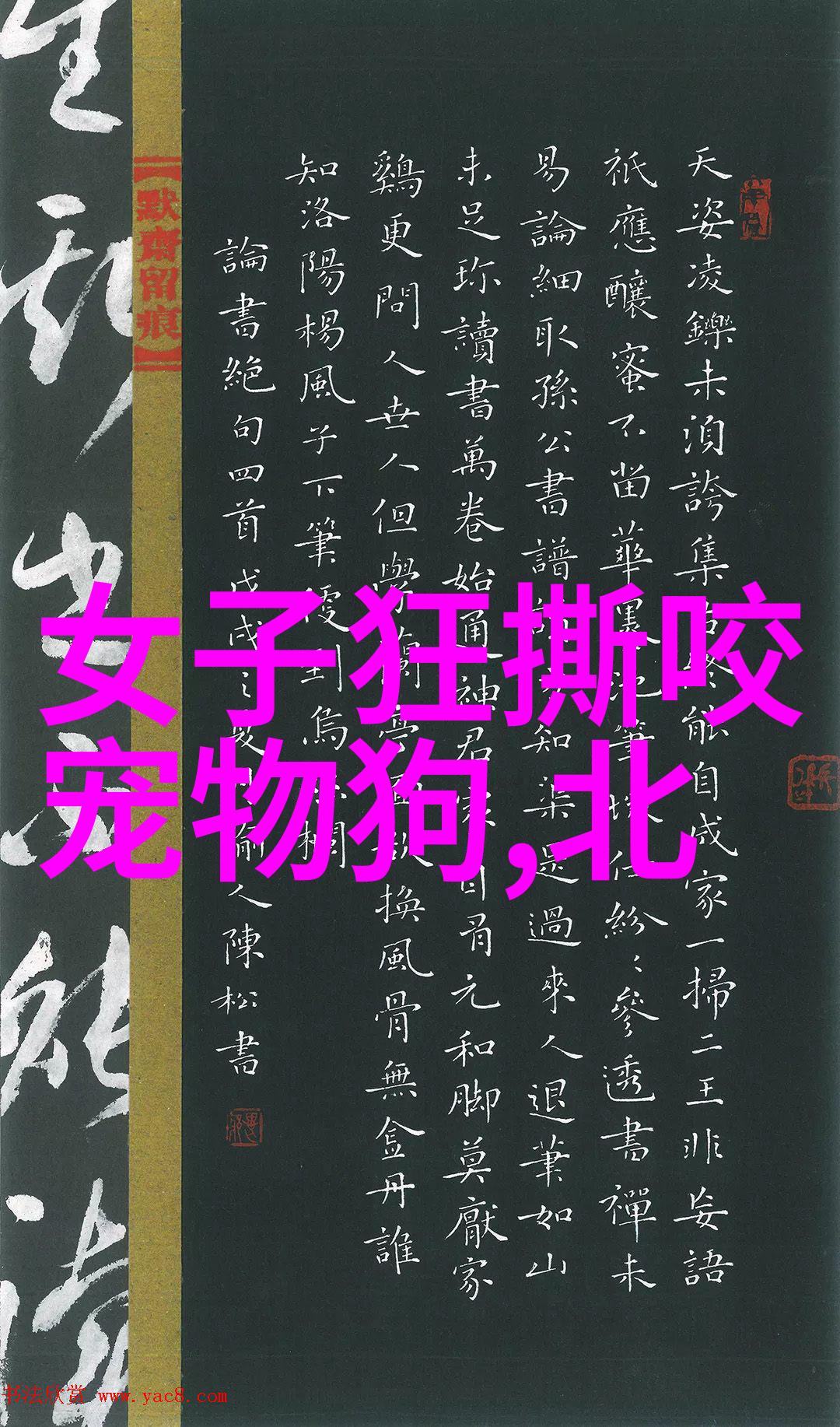 二哈哈士奇眼睛红有眼屎怎么办