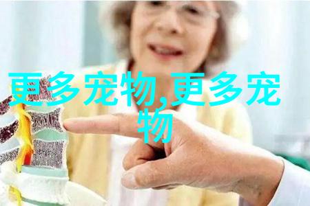 大安哥拉兔认主人吗