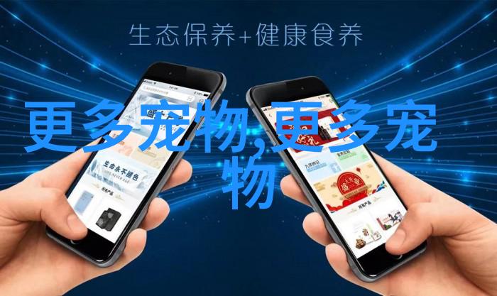 猫应激反应呕吐会自愈吗