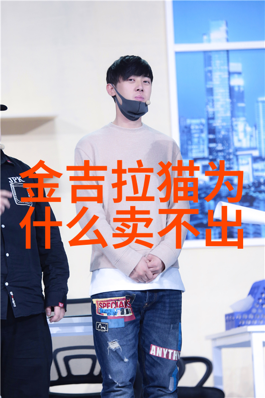 猫爬架怎么养护猫咪爬架养护注意事项