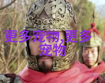 猫瘟初期有什么症状表现