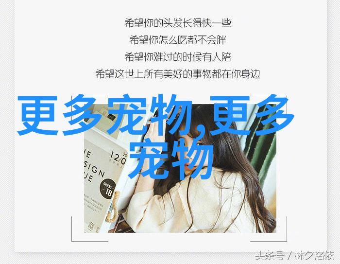 猫砂能用多久