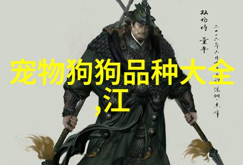 带狗狗外出时应如何让狗狗摆好姿势拍照