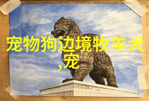 2个月的小狗能怎么洗澡