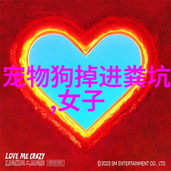 吉娃娃容易得哪些皮肤病吉娃娃常见五大皮肤病