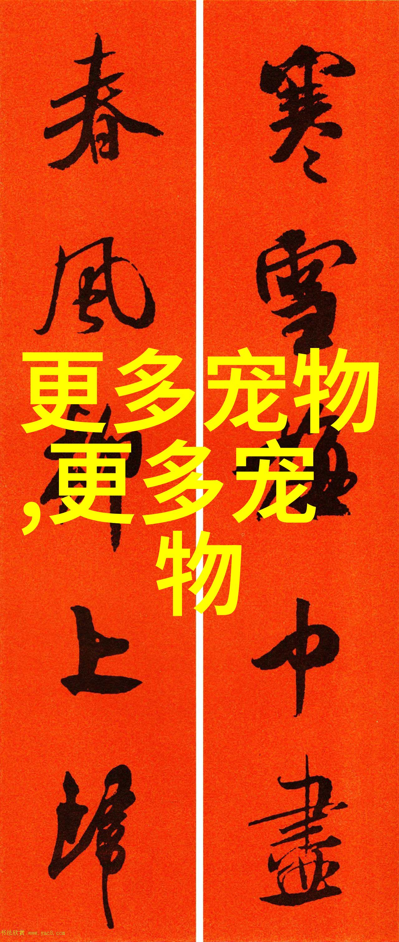 红耳鹎资料及图片