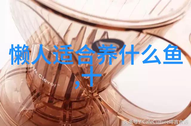 金鱼饲养中传统容器的介绍 需要注意什么
