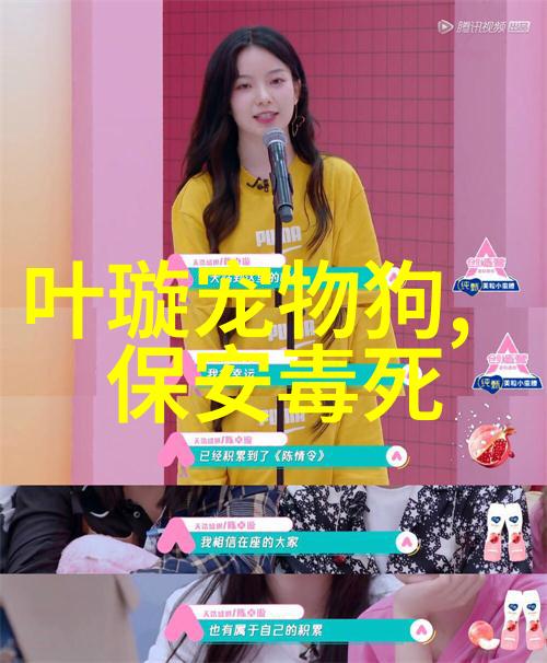 智能抗焦虑狗窝诞生 可自动识别狗狗情绪给ta放音乐